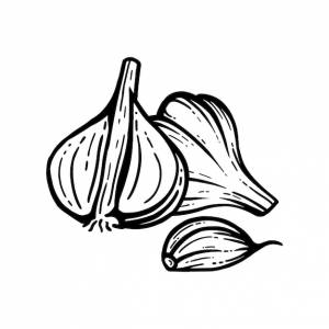 Fácil dibujo de una cebra para colorear estilo dibujos animados