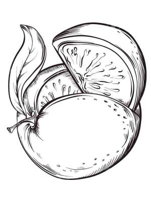 Раскраска Грейпфрут