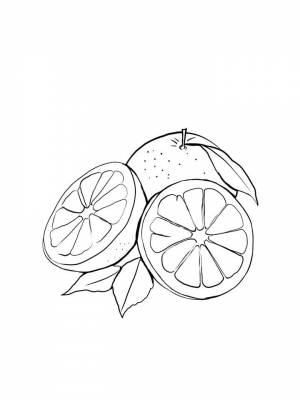 Раскраски Грейпфрут   в формате
