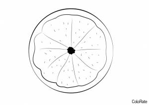 Раскраска Грейпфрут в разрезе