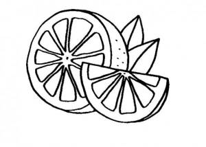 Грейпфрут раскраска » DreemPics