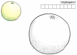 Уроки рисования