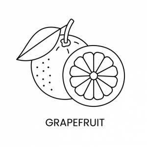 Иконка линии грейпфрута на векторной иллюстрации цитрусовых