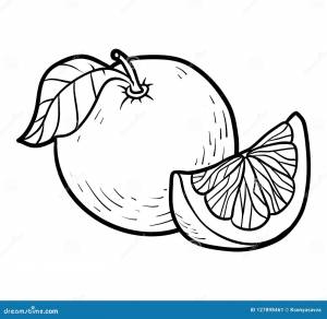 Книжка-раскраска, грейпфрут Иллюстрация вектора