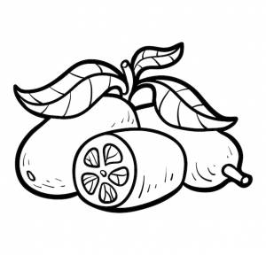 Книжка-раскраска для детей, кумкват