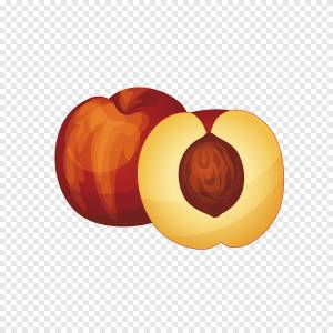 Нектарин Ингредиент Fruit Icon, Зрелый персик, еда, апельсин png
