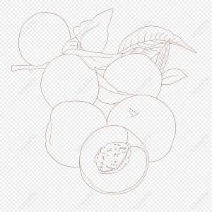 нектарины PNG изображения с прозрачным фоном