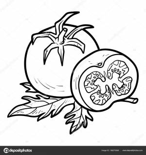 Книжка раскрасок, Tomato Векторное изображение ©ksenya_savva 186270584