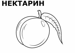 DataLife Engine > Версия для печати > Абрикос раскраска