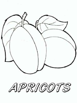 Раскраски Абрикос