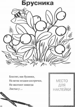 Раскраски Брусника