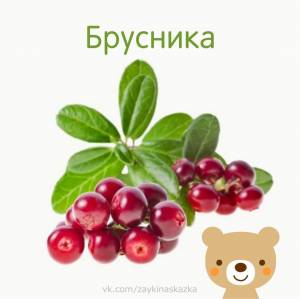 Рисунок брусника для детей