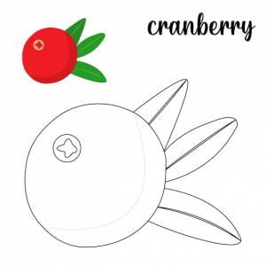 Раскраска, раскраска клюква