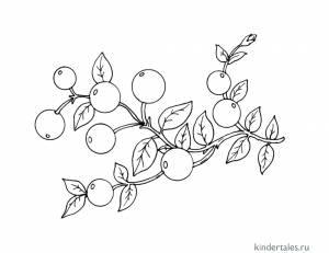 Клюква» раскраска для детей