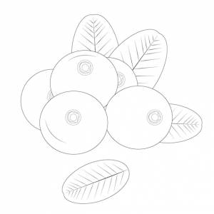 Раскраска для детей