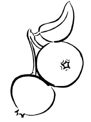 Раскраски Клюква