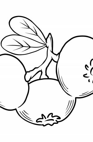 Раскраска Клюква ♥ Раскрашивать Онлайн  !