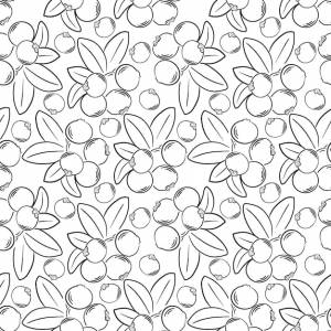 Клюква на белом фоне ветка с красными ягодами и зелеными листьями