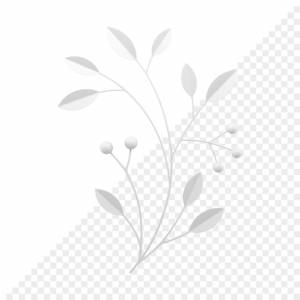 Белая клюква, брусника, ветка натурального дерева, элемент декора, реалистичная 3d икона