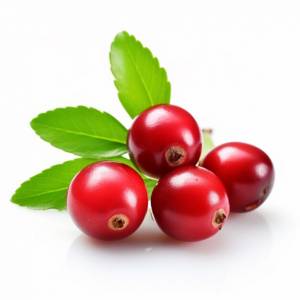 Клюква с листьями на белой поверхности, генеративный ай