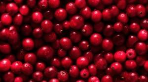 Бесшовный рисунок фотографии фруктов и ягод на фоне клюквы