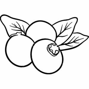 Раскраски Клюква для детей