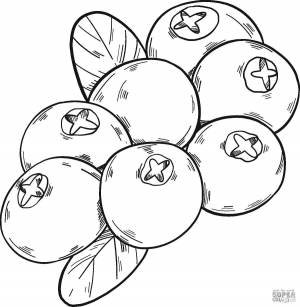 Раскраски Клюква для детей