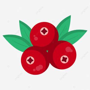 свежая красная клюква вектор PNG , красная клюква, ягода, Фрукты PNG картинки и пнг рисунок для й загрузки