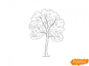 Как нарисовать дерево рябину поэтапно 3 урока