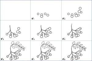 Как нарисовать рябину