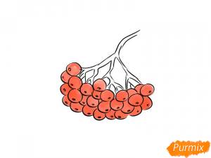 Как нарисовать рябину поэтапно 8 уроков