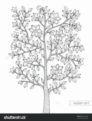 Раскраска дерево рябина для детей