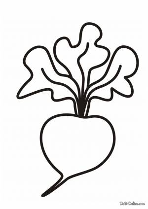 Раскраска Редиска