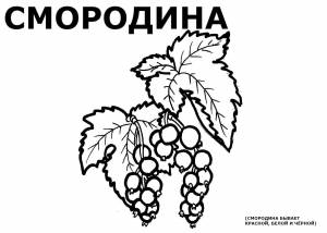 Раскраска смородина