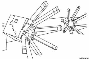 Раскраска Спрут