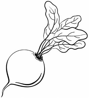 Раскраска редиска  и