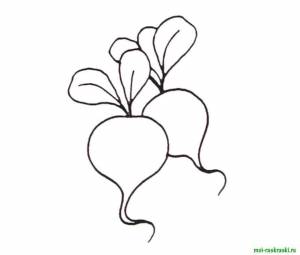 Раскраски Раскраска Редиска