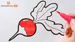 Как нарисовать редиску карандашом и фломастерами