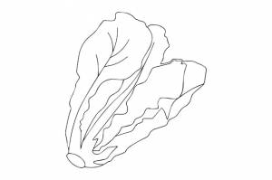 Салат-раскраска