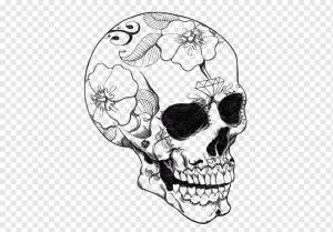 Calavera Книжка-раскраска Череп Раскраски для взрослых, череп, знаменитости, ребенок, лицо png