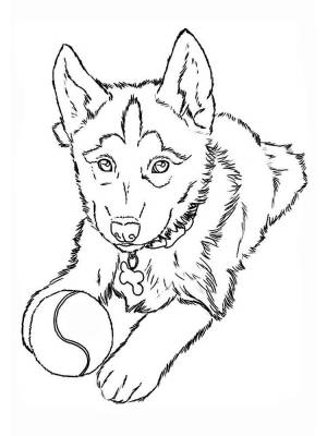 Раскраски Щенки