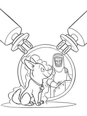 Раскраска Вольт