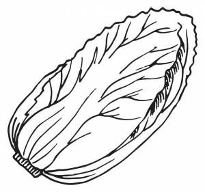 Вон бок скетч салат из капусты напа овощной