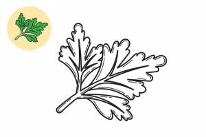 Книжка-раскраска сельдерей