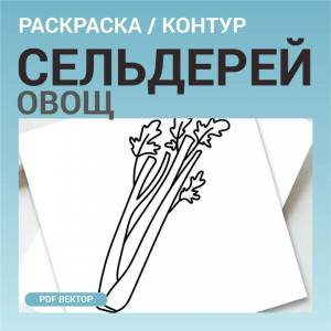 Сельдерей трава стебель