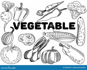 Vegetable вектор расцветки для взрослых Иллюстрация вектора