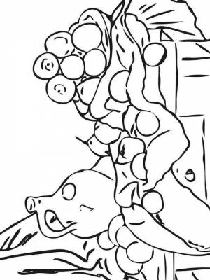 Раскраска Натюрморт  для мальчиков