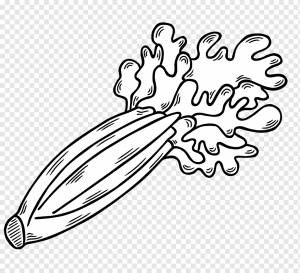 мультфильм Сельдерей png