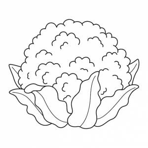 Цветная капуста овощная изолированная раскраска