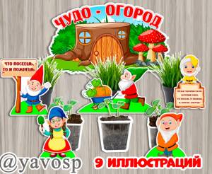 Огород на подоконнике Гномы